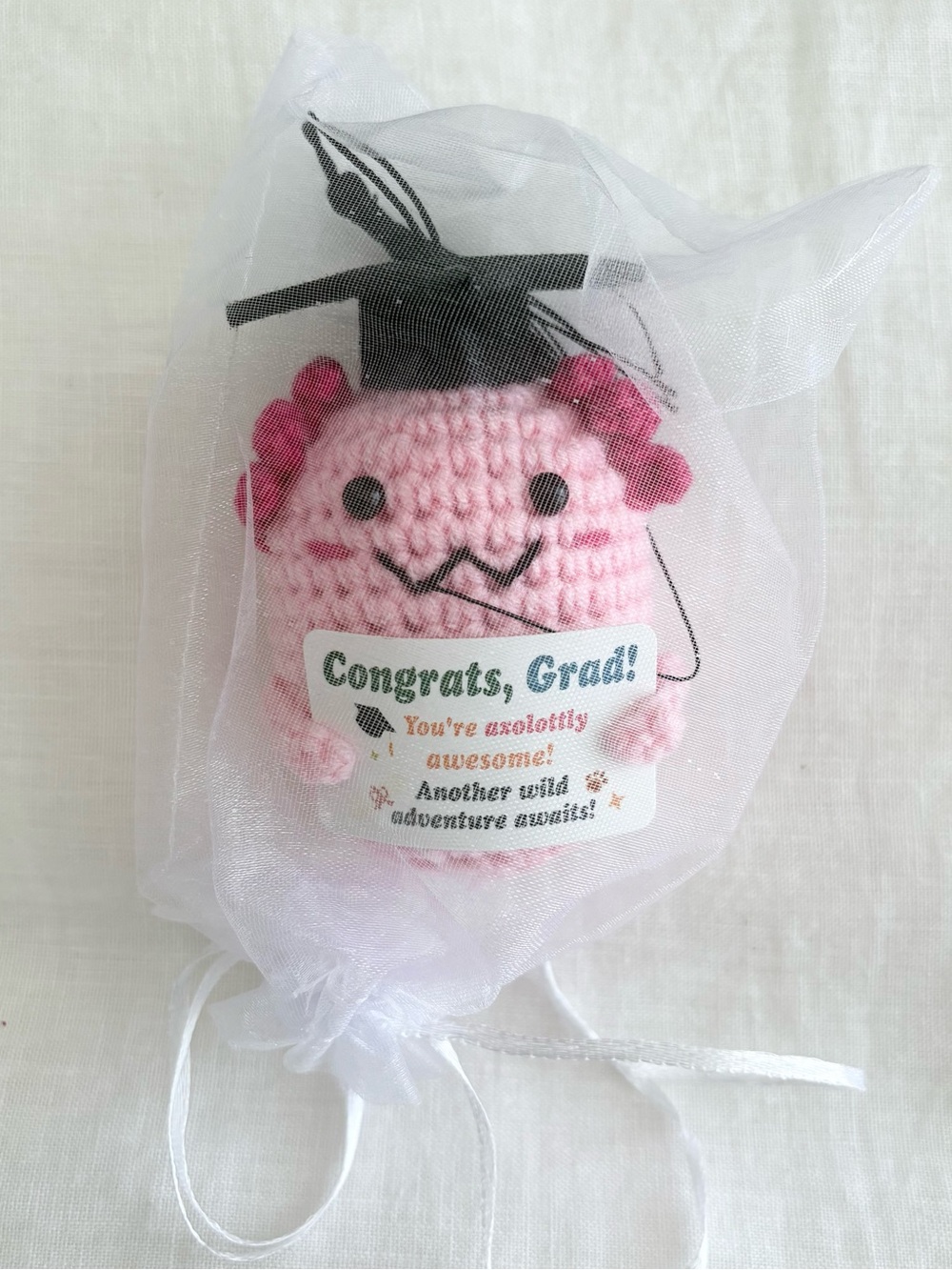 Crochet Graduation Encouraging Axolotl